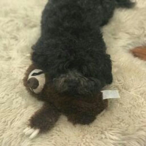 Meet your Posher, Chloe